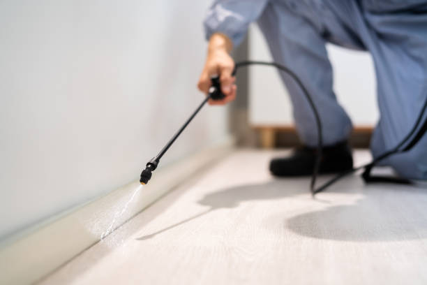Licensed Rodent Control service in Bacon County County, GA - Nex Pest Control